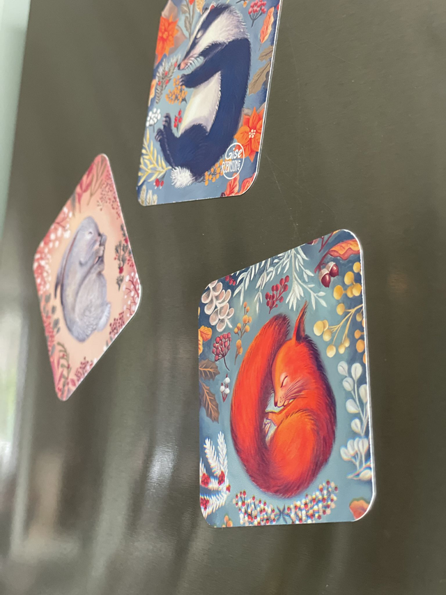 Fridge Magnets - Creature’s Dreams