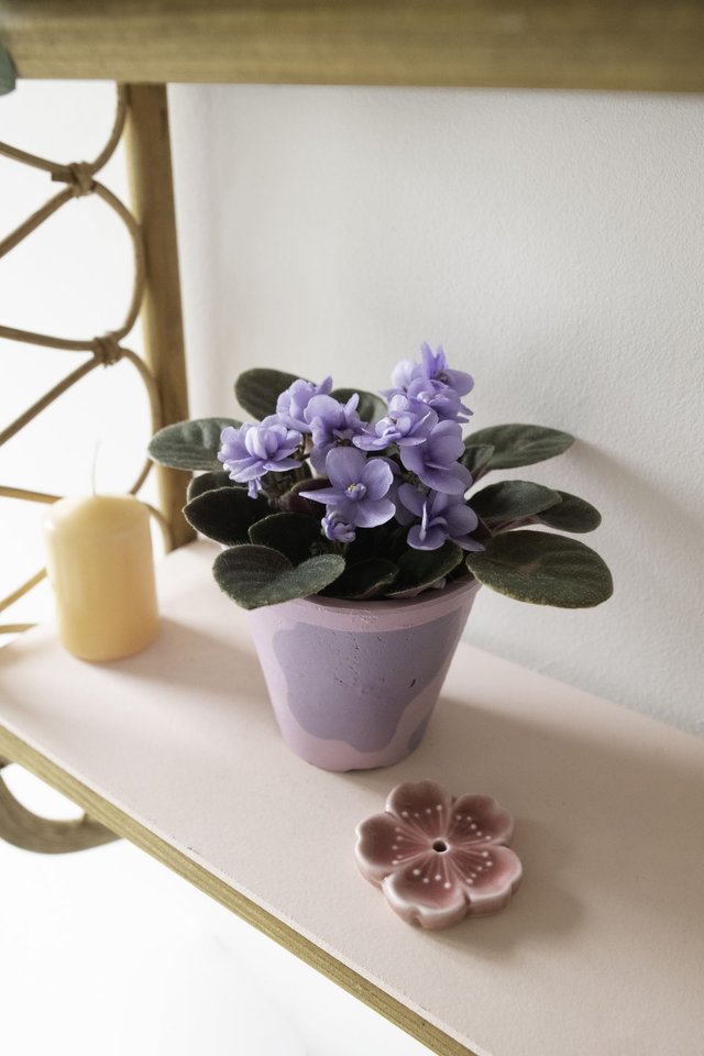 Métamorph ✨Pot peint à la main