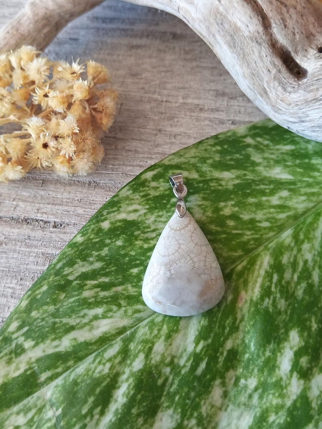 Pendentif Fossile Corail 
