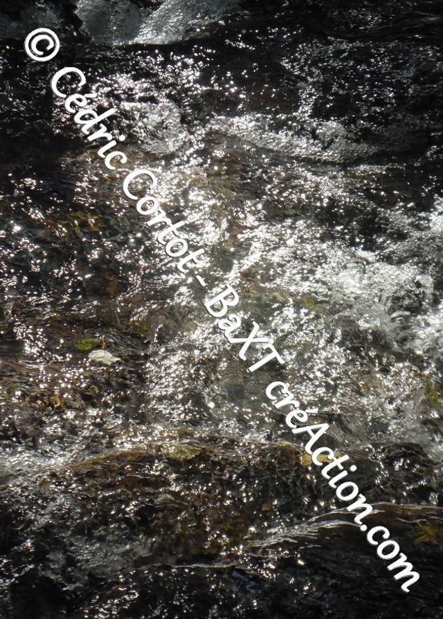 Carte postale - Reflets et cours d'Eau (Ref P1190162)