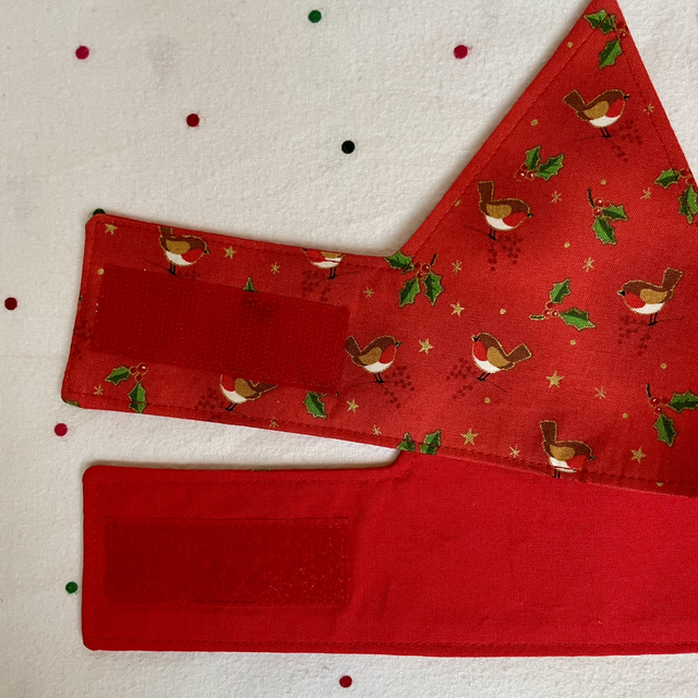 Robin Red Christmas Crown