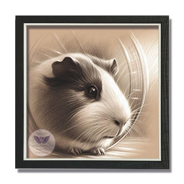 Artistic image of guinea pig in square frame (GP11)