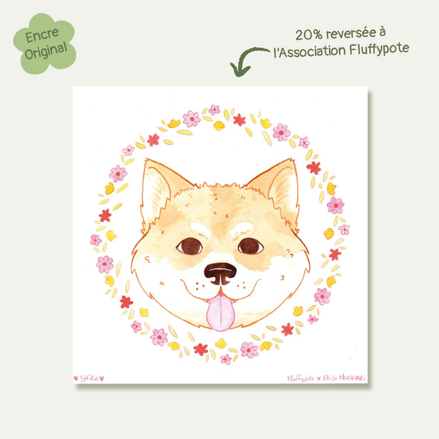 Shiro – Œuvre originale solidaire