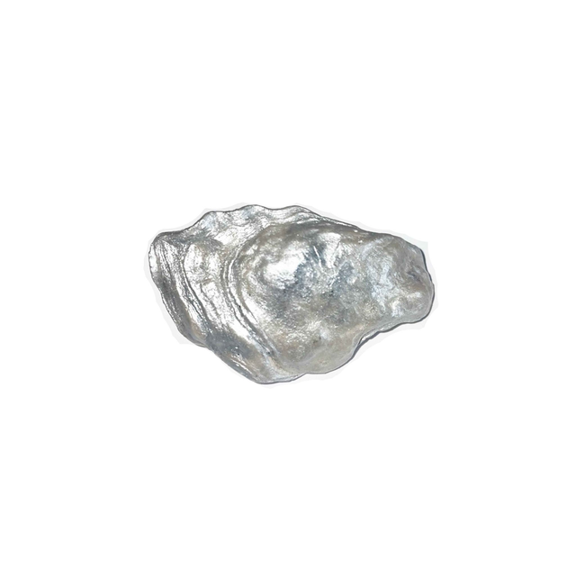'écaille' hairclip