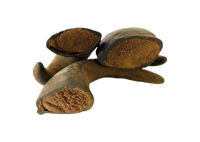 Filled Buffalo Horns Small