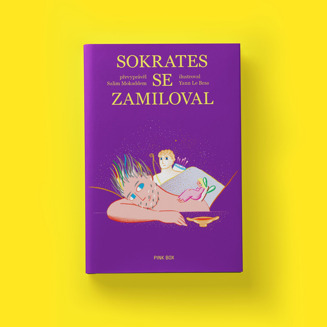Sokrates se zamiloval
