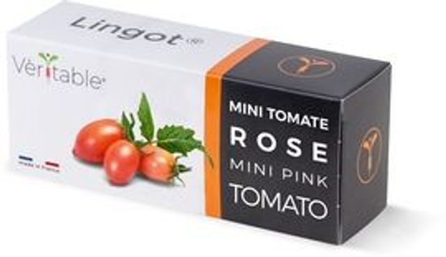 Véritable Lingot Mini Pink Tomato