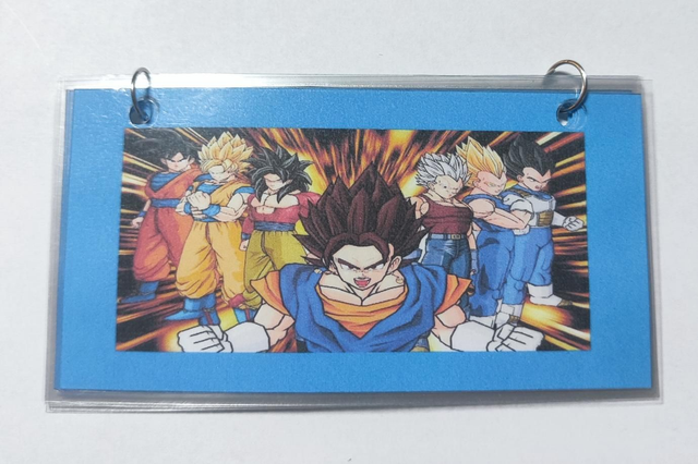 1x1 Lernblock Dragonball 