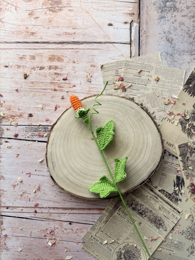 Feuillage gloire du Matin (personnalisable pour créer votre bouquet)