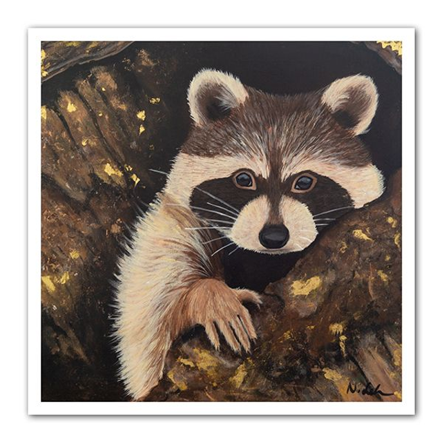 Neugieriger Waschbär - FineArt Print