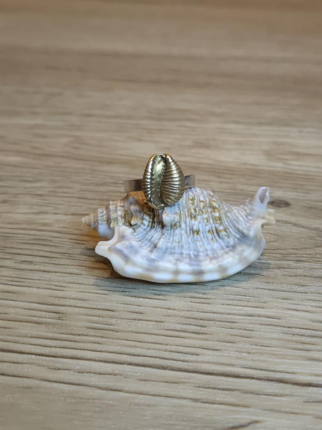 Bronze Cowrie shell ring