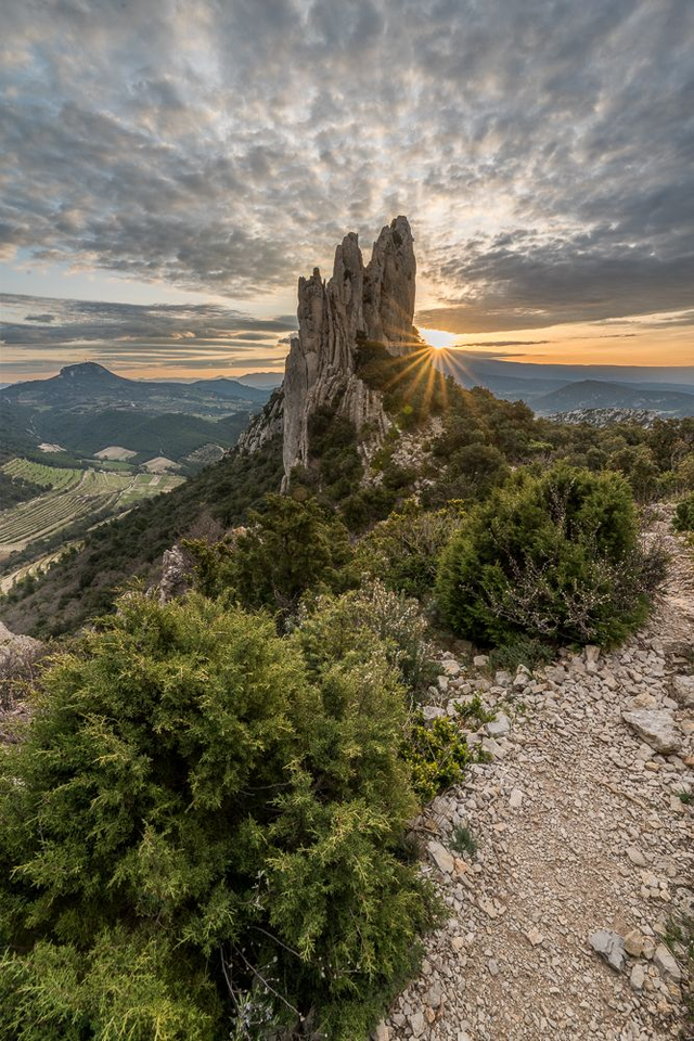 Dentelles de Montmirail