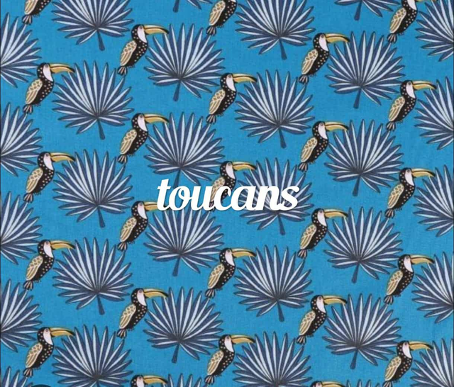 TOUCANS