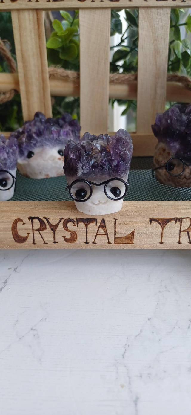 Glintford - Crystal Critter Scholars