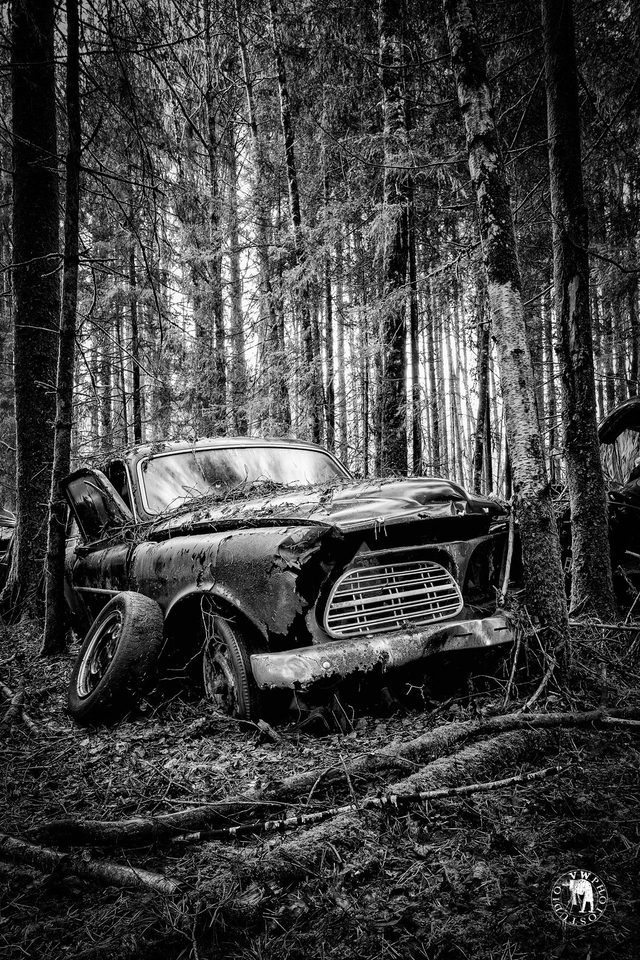 "L'amazone" Tirage Fine Art sur Alu-Dibond 30x45cm