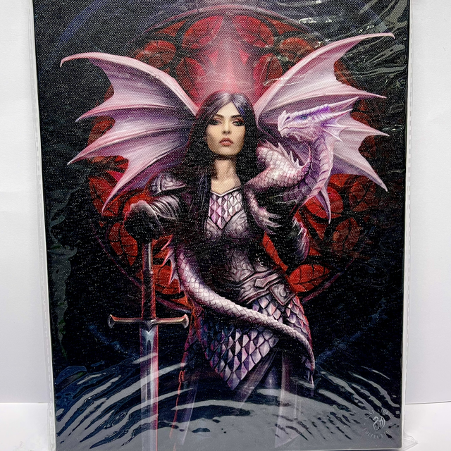 Anne Stokes Art - Valour Hanging Canvas Print