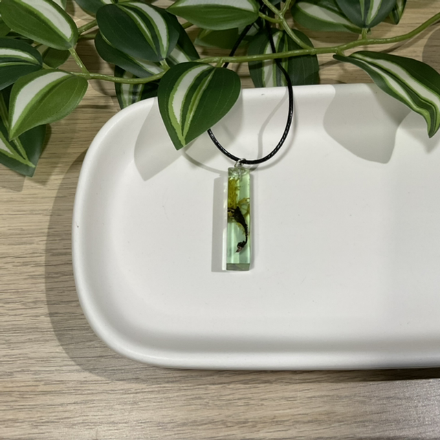 Natur: Halskette K0049