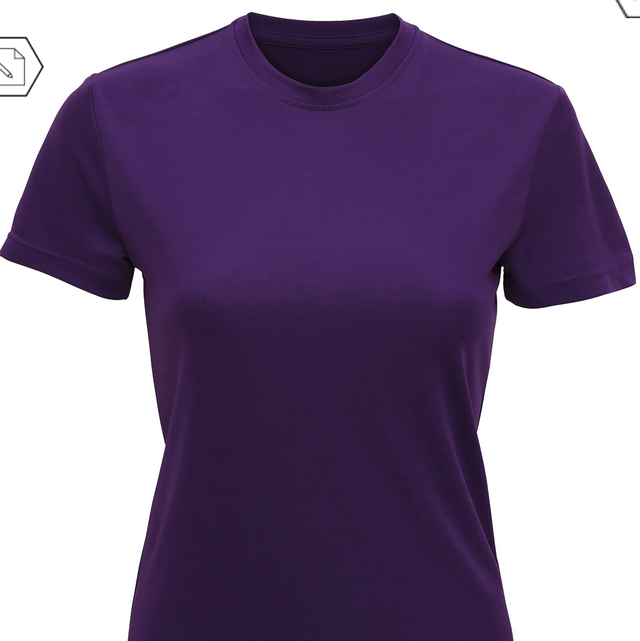 Round neck t-shirt Ashbourne ladies