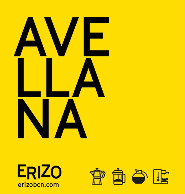 Avellana