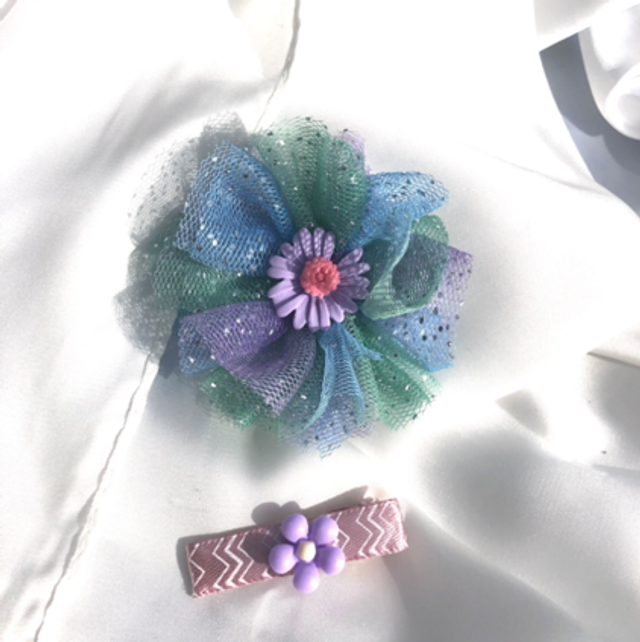 Violette* lot barrettes 