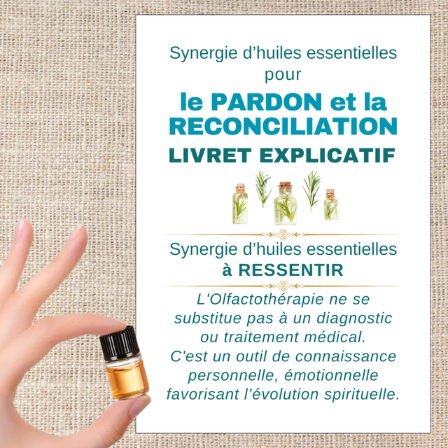 Synergie &quot;Pardon &amp; Réconciliation&quot;