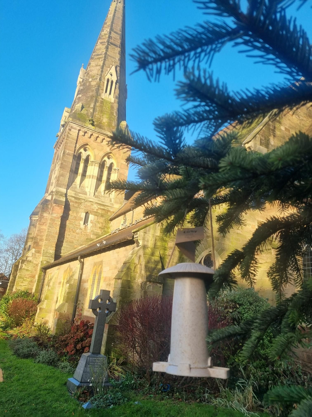 Earthly sustainable bird feeders 