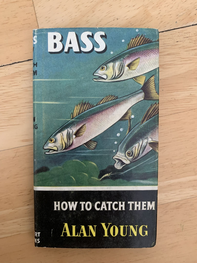 Bass How To Catch Them