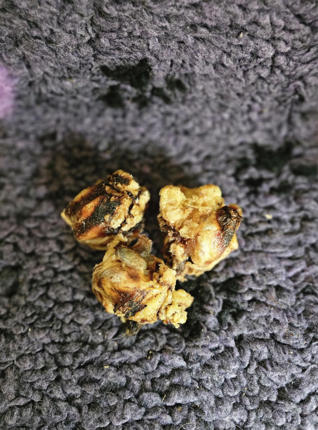 Beef Knees- Doggy Gobstopper