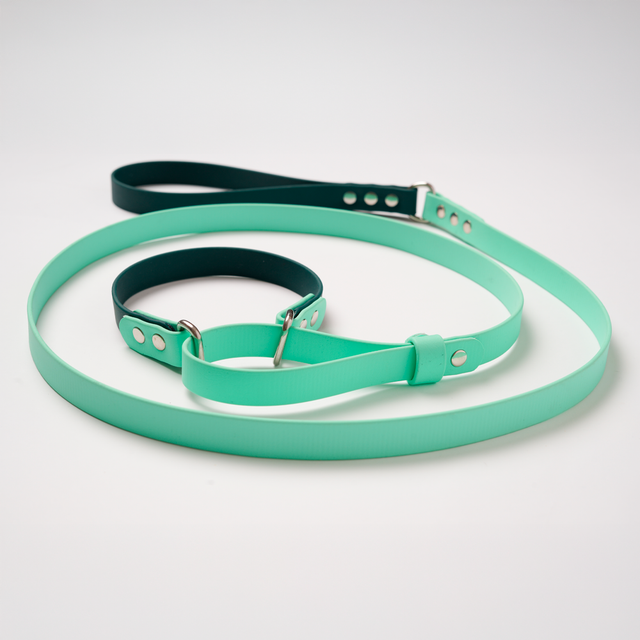 Laisse Martingale 