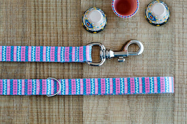Niara leash