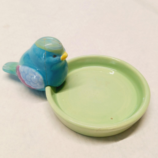 Rim Robin &amp; Dish