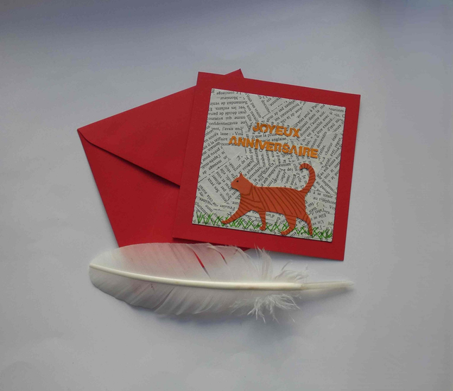 un anniversaire avec un chat