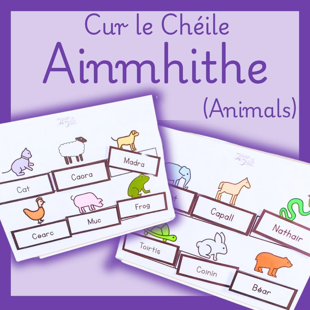 Ainmhithe - Cur le Chéile (Animals -Match Together)