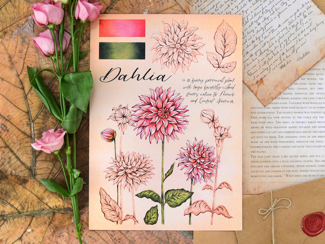 "Dahlia Flowers" Poster A4