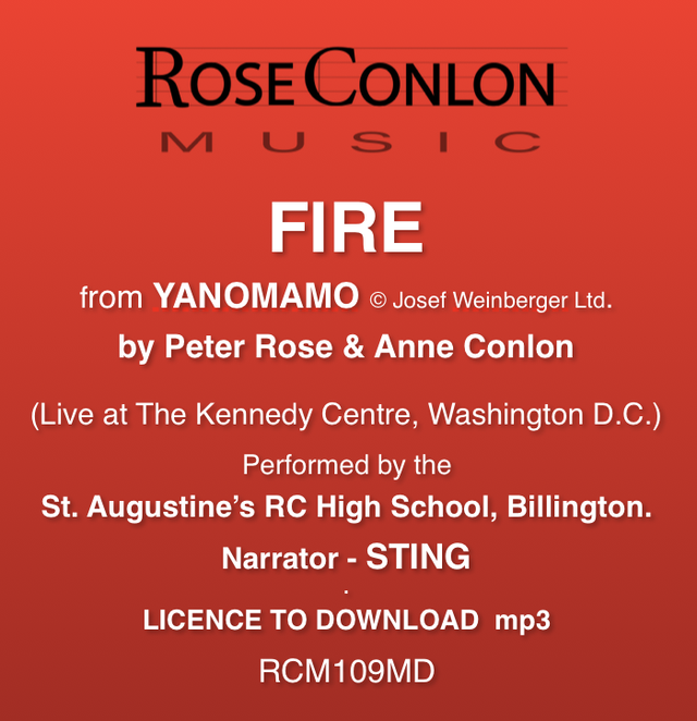Fire RCM109MD from Yanomamo in Washington (by Peter Rose &amp; Anne Conlon)