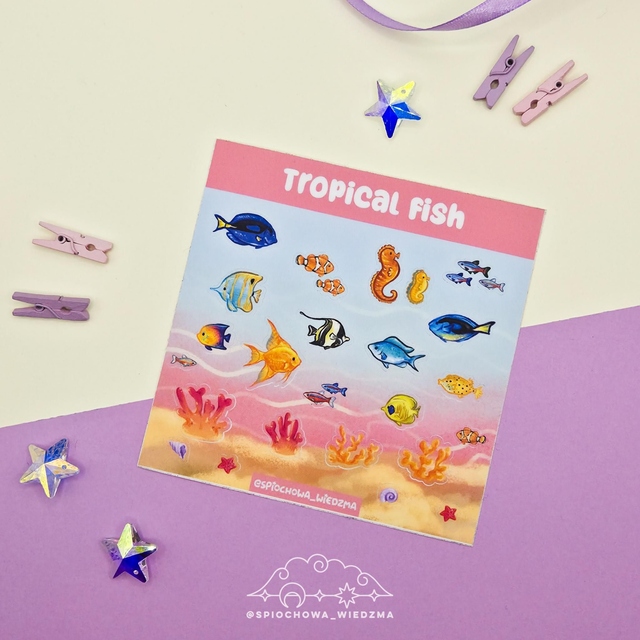 Tropical Fish | ZWIERZĘTA 