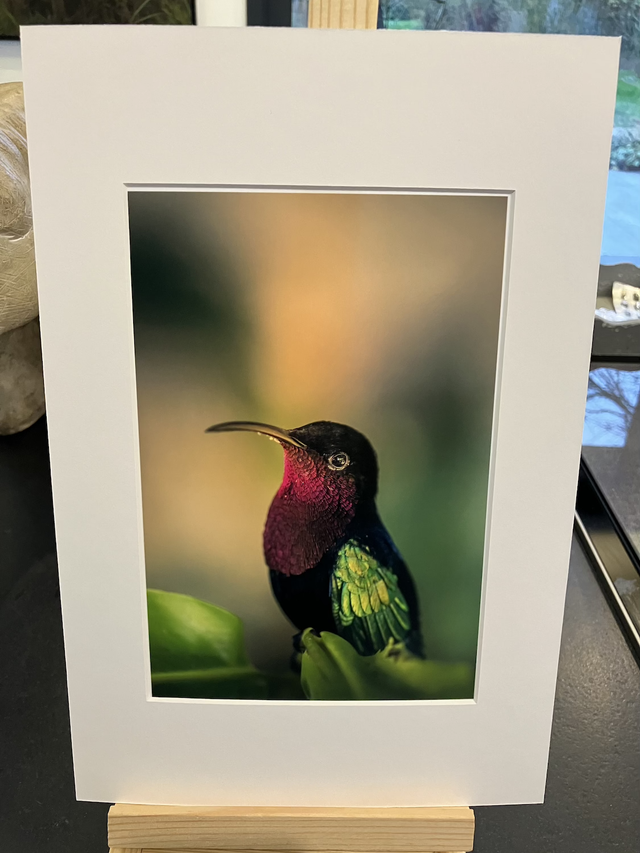 Tirage illimité Jaspe avec passe-partout 