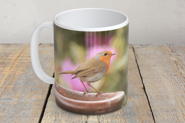 “Robby Robin” Mug 