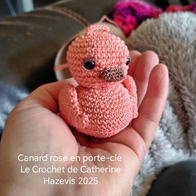 2025 Canard rose en porte-clé 