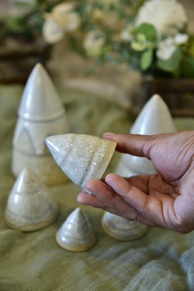 Forêt Sapin de Noël