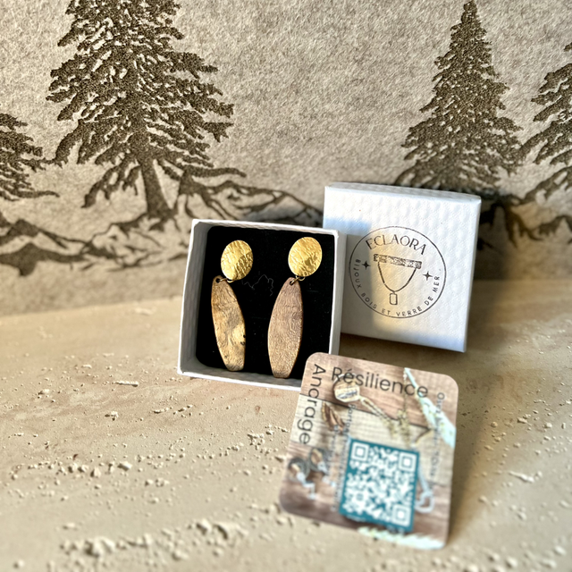 Boucles d'Oreilles Madré Cacao & Acier Doré Ovale