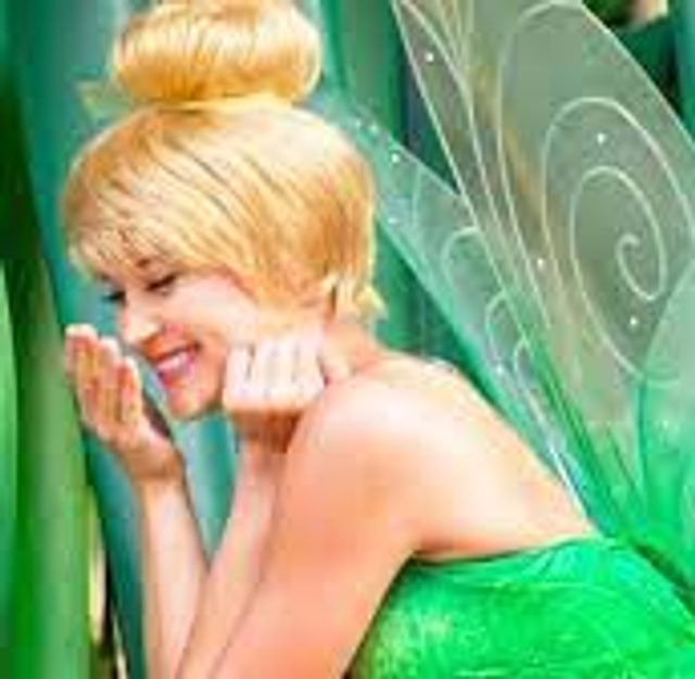 Tinkerbell and Neverland Party Deposit Per Person 