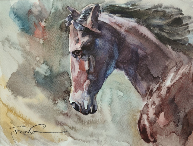 Koń, 28x35 (18x24 w świetle passe-partout) akwarela