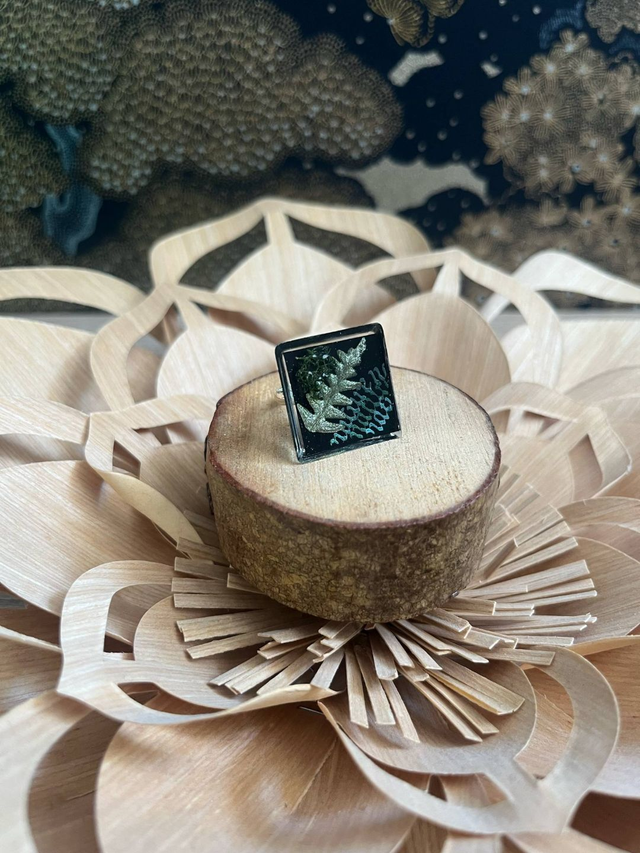 Nature fougère vert