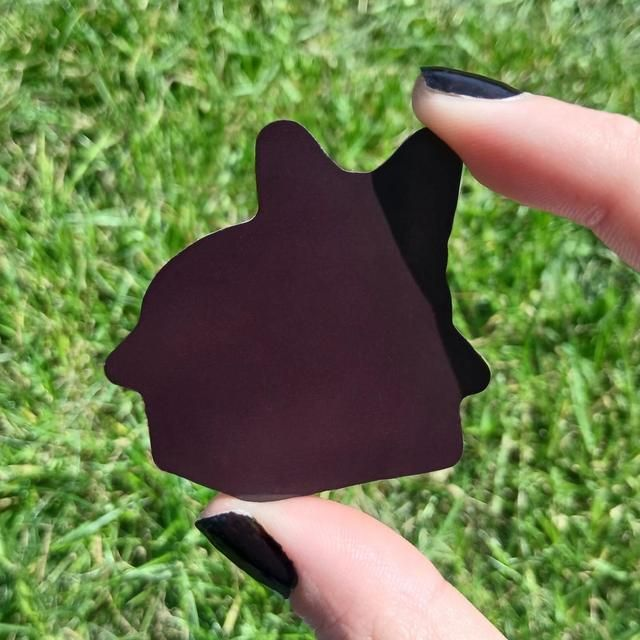 Cat in a Box Acrylic Magnet