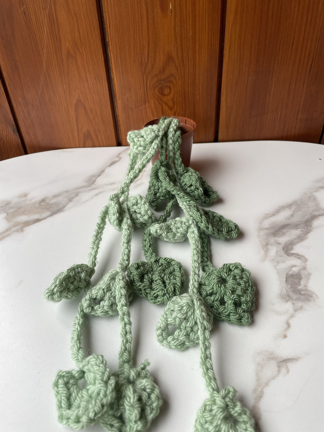 Crochet plant