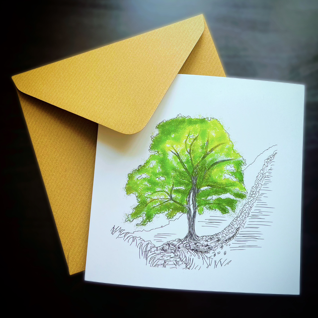 Sycamore Gap Hope Greetings Card