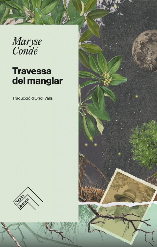 Travessa del manglar - Maryse Condé