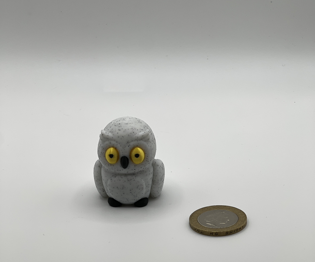Snowy owl
