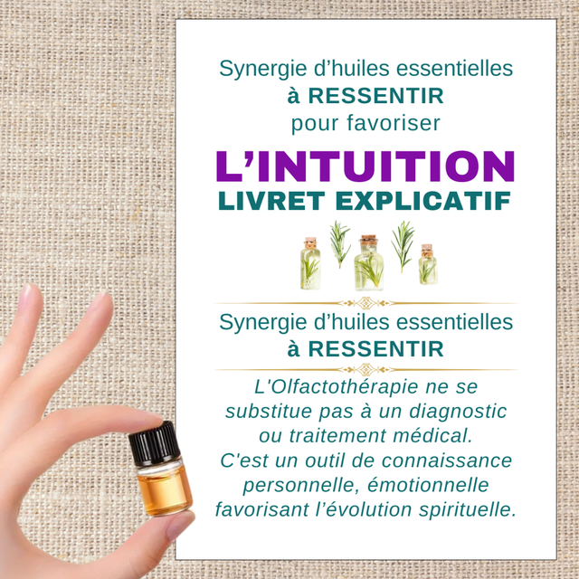 Synergie &quot;INTUITION&quot;